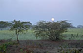 Orcha - countryside 